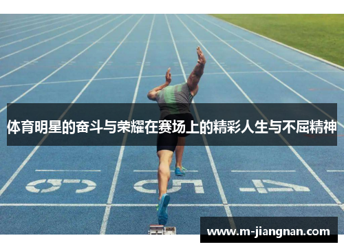 体育明星的奋斗与荣耀在赛场上的精彩人生与不屈精神